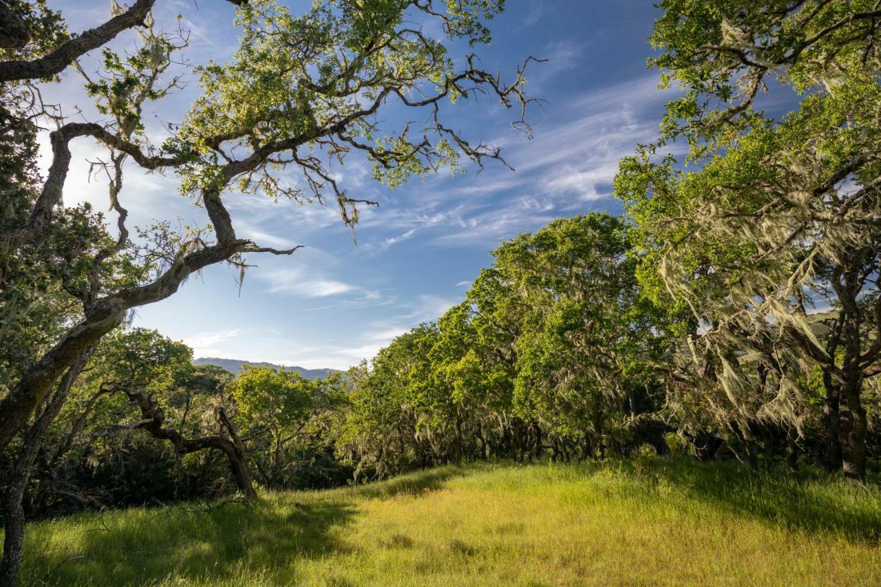 The Camp At Carmel Valley Bagian luar foto